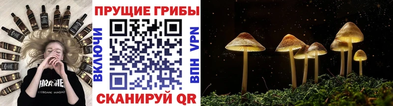 Псилоцибиновые грибы ЛСД  Лабинск 